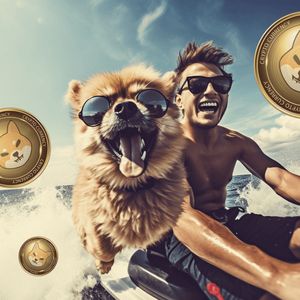 Which Meme Coin Will Dominate in September – Shiba Inu, Pepe, or Pomerdoge?