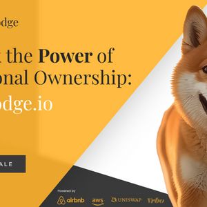 Shiba Inu Excels After Shibarium Launch, Binance Coin Expands Ecosystem, Everlodge to Change Real Estate Investments