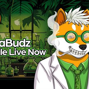 Bullish On Play-To-Earn Coin Shiba Budz? Here's Why Algorand And Convex Will Get Left Behind