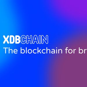 Digitalbits Blockchain evolves into XDB CHAIN: A Game-Changing Rebranding Initiative.