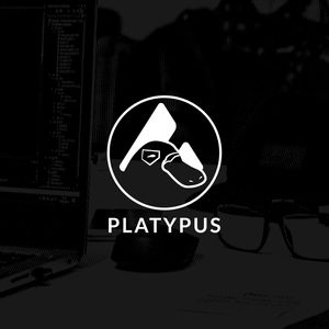 Platypus Finances Suffers $2.23m Loss in Flash Loan Exploit