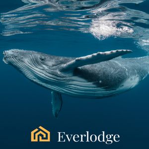 Cryptos with Massive ROI Potential Not to Miss This Fall: Litecoin, Everlodge and VeChain