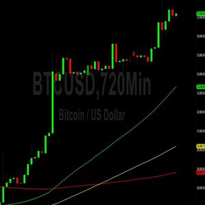 Bitcoin (BTC) Price Analysis:  Bulls Resume Climb and Test 37235 – 12 November 2023