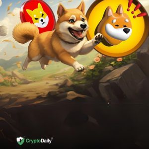 How Far Can Shiba Inu (SHIB) and Bonk (BONK) Go Before Year-End?