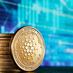 Pushd (PUSHD) breaks records, gains over 8,000 sign-ups to its presale, Solana (SOL) and Cardano (ADA) stay static