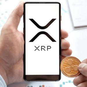 Ripple (XRP) Whale Transactions Hint at Price Surge – SOL and Meme Moguls (MGLS) Among Top Coins to Boom
