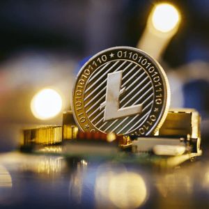 Is Pushd (PUSHD) Going To Be The Best Crypto Investment This Year? Top Analyst Thinks So Over Litecoin (LTC) And Internet Computer (ICP)
