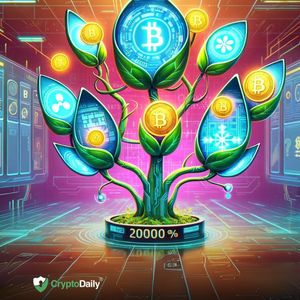 3 Coins With a Possible 2000% ROI Potential in 2024