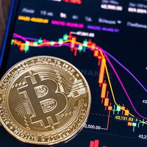 Fidelity Addresses Bitcoin's Stagnation: Sei and NuggetRush Gain Momentum for the Altseason