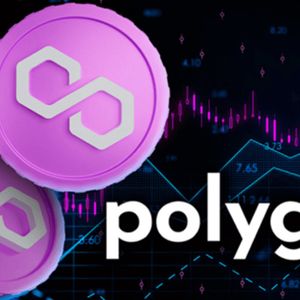 Crypto Analysts Say Pushd (PUSHD) Can Save a Sinking Polygon (MATIC) and Bitcoin Cash (BCH) Portfolio