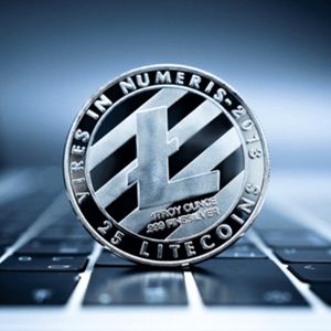 Is Pushd (PUSHD) the best investment in 2024? Top analyst says yes as Avalanche (AVAX) and Litecoin (LTC) fall