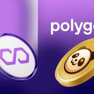 Experts Foresee $0.008 Cryptocurrency Outpacing Polygon (MATIC) to Hit $1 Sooner
