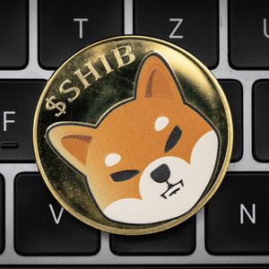 Over 6,000 investors go crazy for Pushd (PUSHD) presale over Polygon (MATIC) and Shiba Inu (SHIB)