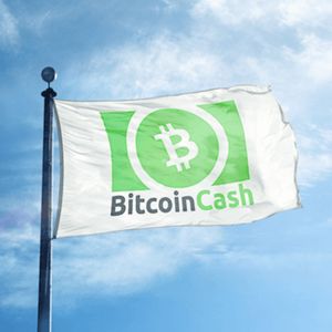 The Rising Star: How Bitcoin Cash (BCH) and Litecoin (LTC) Could Learn from Pushd (PUSHD)