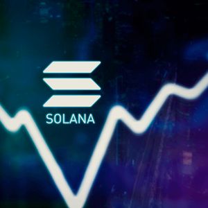 Why Did Pushd (PUSHD) Surge Ahead of Solana (SOL) and Filecoin (FIL) in Unprecedented Boost?