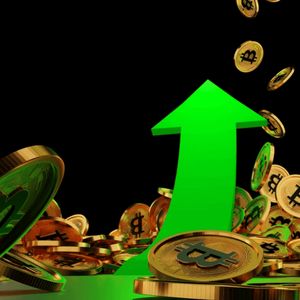 Binance Coin (BNB) whale stakes DeeStream (DST) presale as Bitcoin (BTC) holders follow suit