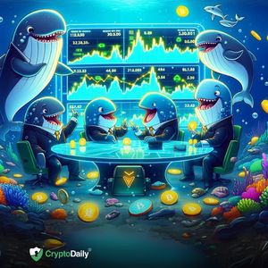 Whales Targeting These Altcoins for Major Gains During Bull Market