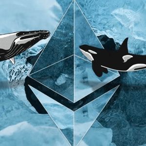 Polkadot (DOT) future causes concern as DeeStream (DST) presale gains Ethereum (ETH) whale investment from anonymous investor