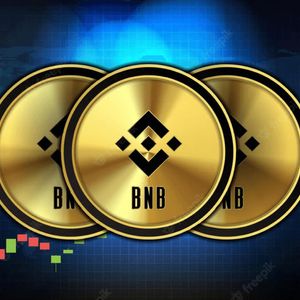 February Market Boom shows Binance Coin (BNB) & Tether (USDT) holders pump into Pushd (PUSHD). Discover why.