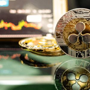 Ripple (XRP)'s Disappointing YTD Sees Investors Diversify into DeeStream (DST) as Traders Mimic Binance Coin (BNB) Whale