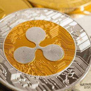 Ripple (XRP) holders scramble to buy last of Pushd (PUSHD) presale after Ethereum (ETH) fund buy in early