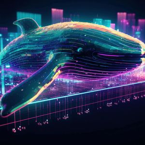 Whale Alert: New Altcoin Makes A Splash As Solana and USDC Holders Rush To Acquire Tokens
