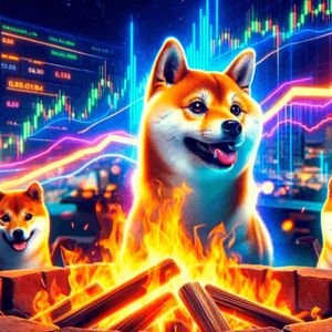 Streaming Genius DeeStream (DST) Surges with Ethereum (ETH) as Binance Coin (BNB) Holders Seek Diverse Investments: Shiba Inu (SHIB) 204% Gains Fuel Market Buzz