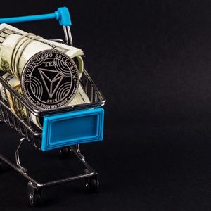 Avalanche (AVAX) and Tron (TRX) Investors Rush to Join Raffle Coin (RAFF) Presale as Analysts Predict Sellout in Just Weeks