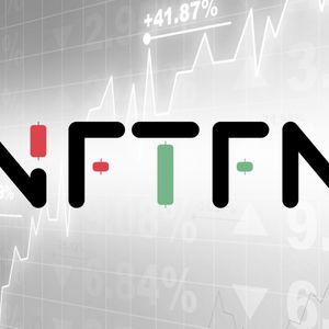 From Whales to Newbies: Why NFTFN's Presale is Drawing Attention Across the Crypto Spectrum