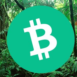 Koala Coin (KLC) Presale Goes Live: Hype Levels Soar as Predictions of 100X Gains Sweep Across Litecoin (LTC) and Bitcoin Cash (BCH) Holders