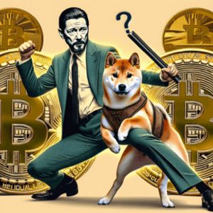 Crypto Underdogs: 5 Altcoins Set to Disrupt the Market