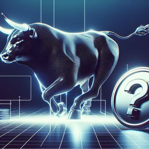 Are Launchpad Tokens the Smart Investment of 2024? Insights into This Bull Run