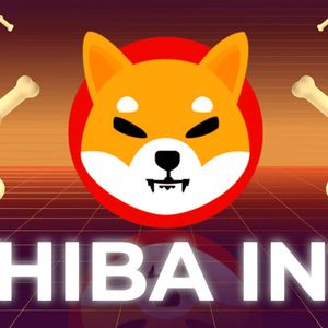 Dogecoin (DOGE) & Shiba Inu (SHIB) Holders Discover Excitement in Raffle Coin (RAFF)’s Innovative Raffle Presale As 100X Predicted
