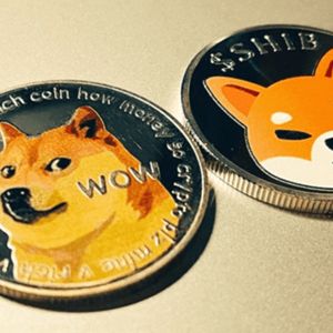 Excited by Its Presale and Trading Potential Dogecoin (DOGE) and Shiba Inu (SHIB) Holders Rally Around Fezoo (FEZ) For 40X Predicted Gains