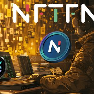 Make Money in 2024: Why Bonk, Solana, and NFTFN Are Your Best Bets