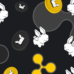 Must-Have Cryptos Before Bitcoin Halving: Polkadot, Raboo and XRP Lead the Charge
