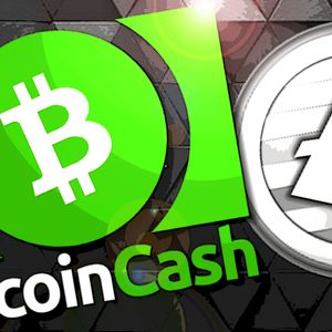 E-commerce Revolution: Pushd (PUSHD) Anticipates a 40X Surge, Becoming a Beacon for Bitcoin Cash and Litecoin Investors