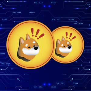 Altcoin Sherpa Projects Major Upswing for DOGE – Traders Top Meme Coins Picks for Q1 BONK and KANG
