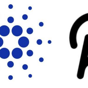Polkadot & Cardano Funds Buoyed by Fezoo Presale Aiming to Outpace Binance: 20X Predicted