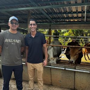 FarmTrack Launches Groundbreaking Livestock Management System: Turning Cattle into NFTs on the Solana Blockchain