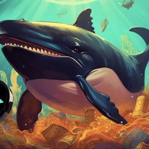 Ethereum and Solana's Whales Big Move: Fezoo's Presale Gains Traction in bid to Outshine OKX as Mega Gains Prediction in New Exchange