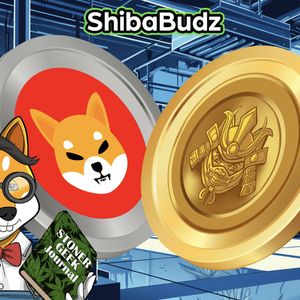 SHIBmania: Navigating the Hype and Reality of Shiba Inu's Cryptocurrency Journey