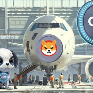 These 3 Crypto's Makes Millionaires: Seasoned Trader Invests In Shiba Inu (SHIB), Dogecoin and Option2Trade (O2T)