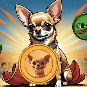 Best Meme Coins in 2024: Hump Token (HUMP), Book of Meme (BOME), and Pepe Coin (PEPE) Aim for 100x Growth