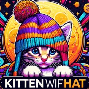 New Solana Meme Coin KittenWifHat In Top Crypto Gainers, Is Slothana Next To Explode