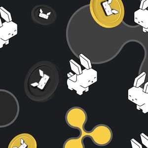 War in Middle East Drives Crypto Market Down. Solana and XRP Slip, but Raboo ICO Surges