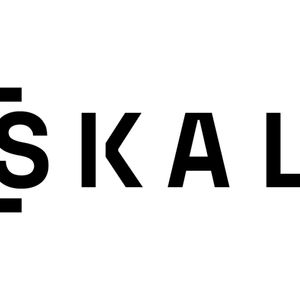 SKALE Network Solves Scalability, Q1 Adoption Soars On Gas-Less Blockchain