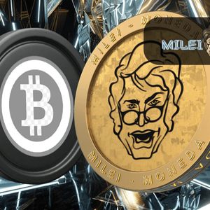 Experts Analyze Recent Dump on Bitcoin and Binance Coin, Recommends Milei Moneda Presale for Quick Profit Opportunity