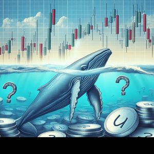 Crypto Whales Started to Accumulate These Altcoins This Week