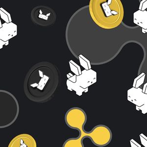 Cardano and Ripple Holders Shift Attention To Raboo, A New Meme Coin Braced For A 100x Surge